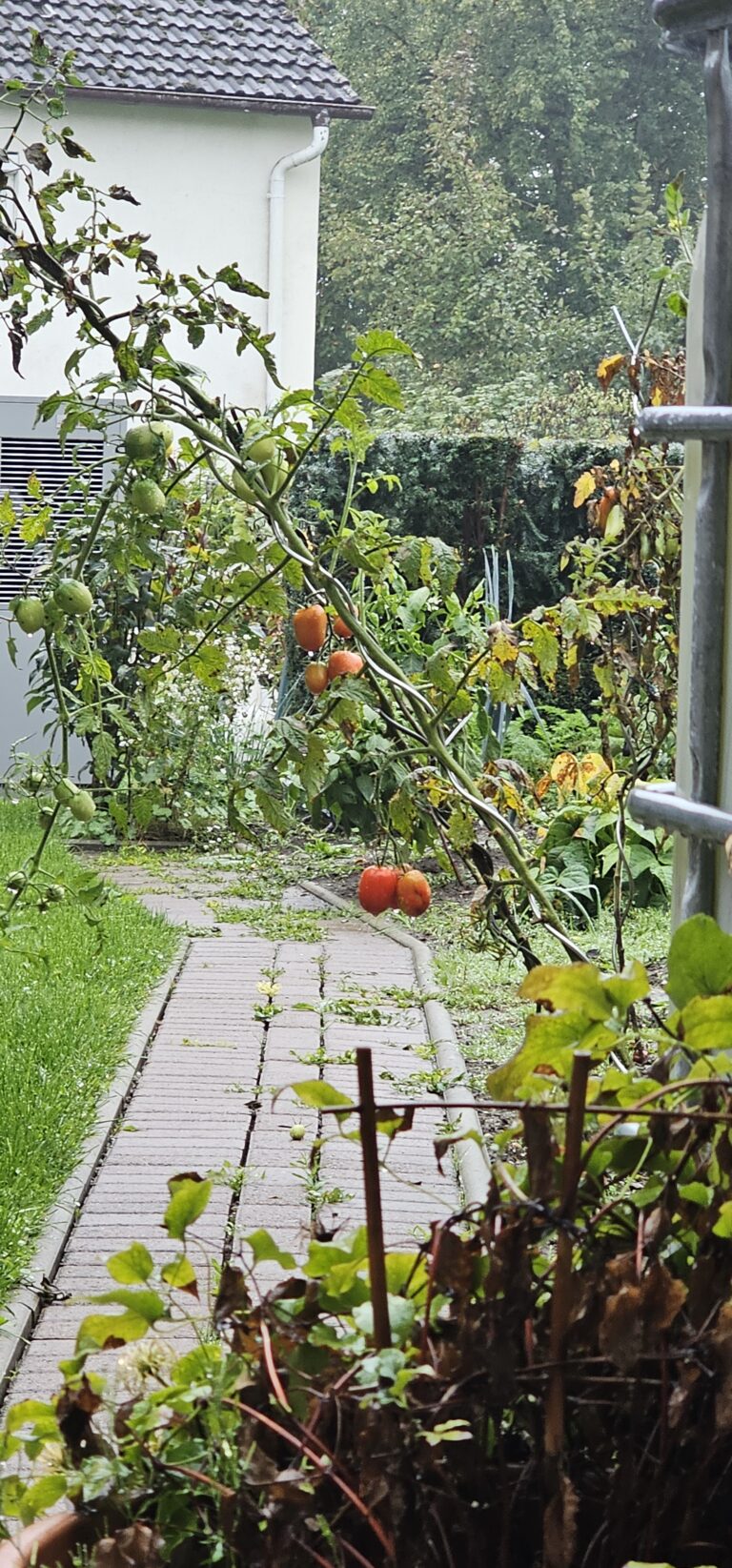 Upload 2025-09-23 15:54:01